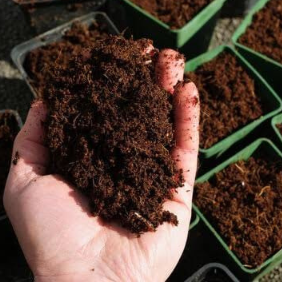 Premium Vermicompost – Organic Earthworm Compost Fertilizer