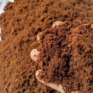 Premium Coco Peat (Cocopeat) – Natural Growing Medium for Plants